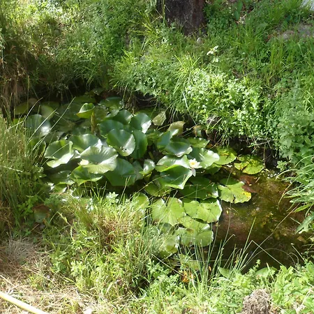 カントリーハウス Al Begarino Agriturismo *